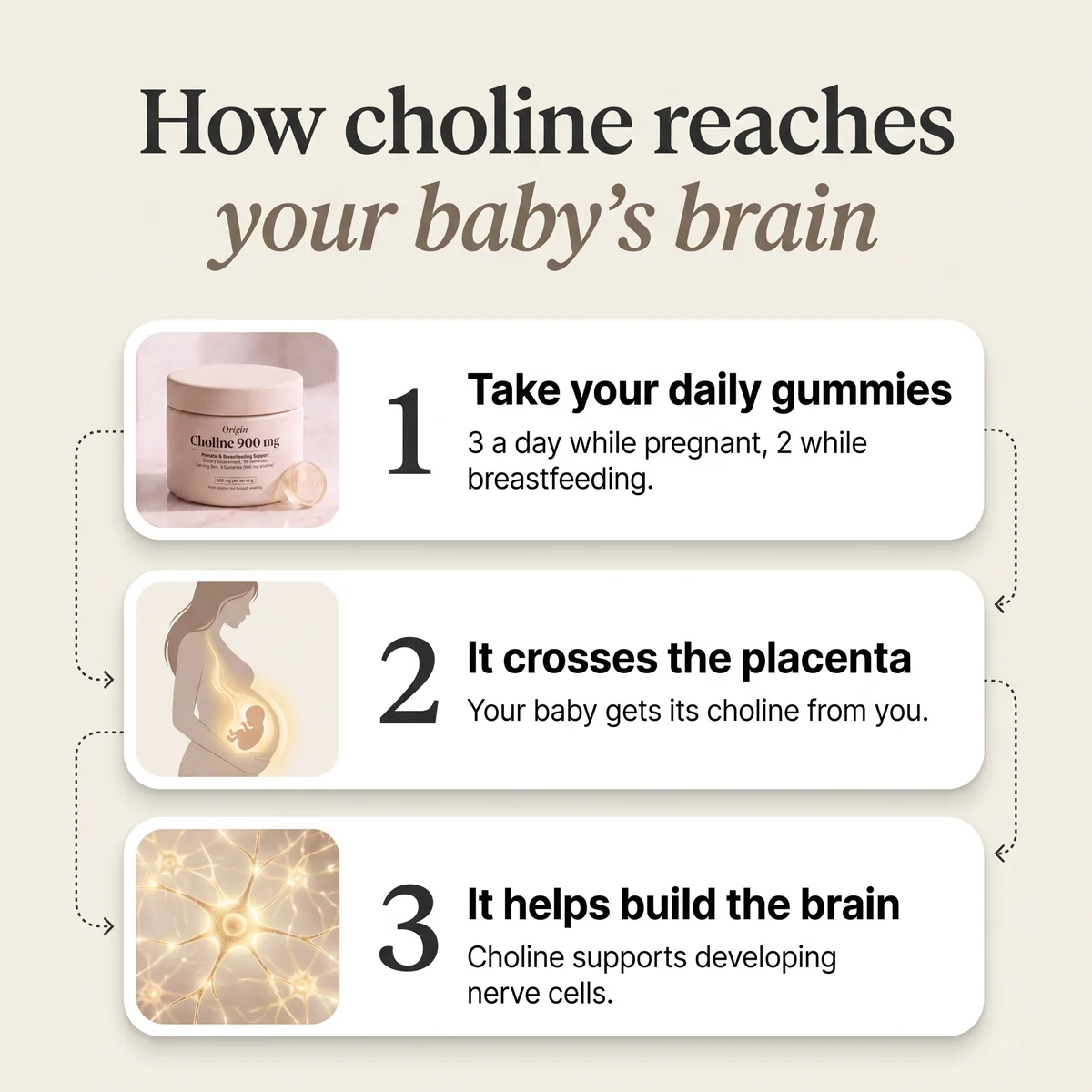 How choline reaches your baby's brain in three steps